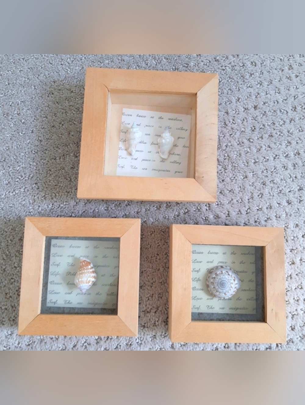 Three Framed Sea Shell Art Wood Picture Frames